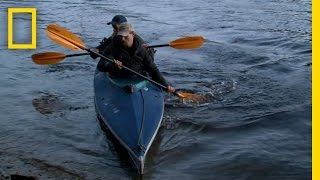 Bear Necessities | National Geographic