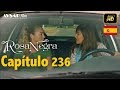 Rosa Negra - Capítulo 236 (HD) En Español