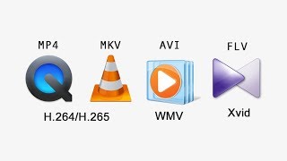 AVI vs MP4 vs MKV - WMV vs H.264 vs H.265 vs Xvid - Best Video Format Codec, Container