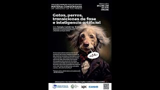 Gatos, perros, transiciones de fase e inteligencia artificial.