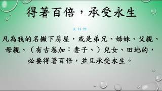 路加福音   128  路 21章  1- 4節     瓊寡婦 和 財主 奉獻     盧聲揚  DAVID  聖經分享    20190824