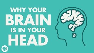 Why Your Brain Is In Your Head
