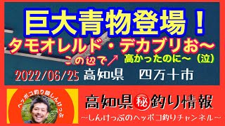 【高知県㊙️釣り情報】連発！大型青物にタモ網が骨折崩壊（泣）