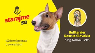 Starajme sa | Psy: Bullterrier Rescue Slovakia