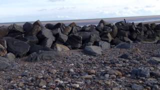Hornsea Sea Defences