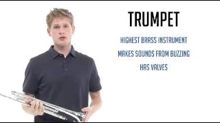 Trumpet Promo