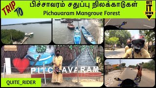 TRIP TO பிச்சாவரம் சதுப்பு நிலக்காடுகள் || Pichavaram Mangrove Forest || R15 V3 BIKER