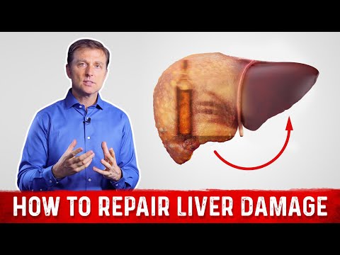 How to Repair Liver Damage after Alcohol How to Repair Liver Damage after Alcohol