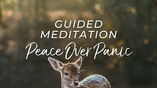 14-Minute Guided Meditation for Peace of Mind