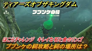 ゼルダの伝説ティアーズオブザキングダム　ププンケの祠攻略と祠の場所は？　ほこらチャレンジ　キレイな石と金のリンゴ　祝福の光集め　＃２６１　【ティアキン】