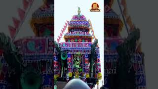 🔴பழனி தண்டாயுதபாணி திருக்கோவில் | தைப்பூச தேர் திருவிழா | Palani Thai Pusam Ther Tiruvizha | Palani