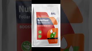 ICL foliar fertilizer #farming #agriculture #gardening #viralshorts #viralvideos #ankitagriproducts