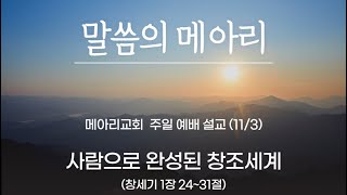 사람으로 완성된 창조세계( 창세기 1장 24~31절)