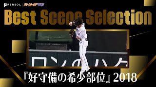 1年からたった10分しか編集できない…『好守備の希少部位』2018 《Best Scene Selection》