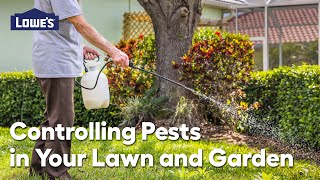 Controlling Pests in Your Lawn & Garden: Video Guide