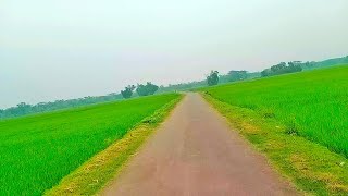 relaxing nature video,nature video,amazing nature,amazing nature scenery,nature scenery,nature