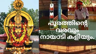 NAYADI KALI #നായടി കളി : വള്ളുവനാടിന്റെ സംസ്കാര വഴിയിൽ അന്യം നിൽക്കാത്ത ചില കാഴചകൾ