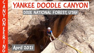 Canyoneering Yankee Doodle Canyon, with kids! (Dixie National Forest, Utah)