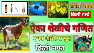 1 शेळीपासून किती नफा मिळतो एक शेळीचे गणित || shelipaln 1 sheli kiti nfa