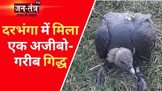 Darbhanga Breaking: कैमरा लगा गिद्ध मिलने से हड़कंप | Suspected Vulture In Darbhanga | Jantantra TV