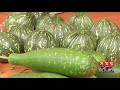 জমে ওঠেনি কৃষকের বাজার farmers market