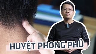 Huyệt Phong Phủ: vị trí, cách day bấm và công dụng đối với sức khỏe