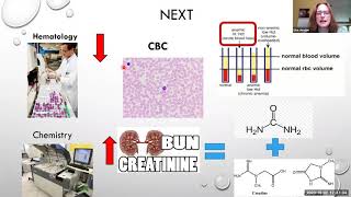Science and the Medical Laboratory