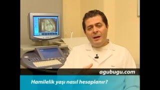 Gebelik haftası nasıl hesaplanır? - ay hesabı nasıl  yapılır?