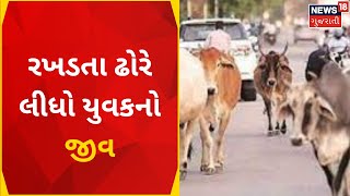 Patan News : રખડતા ઢોરે લીધો યુવકનો જીવ | Stray Cattle | Gujarati News| News18 Gujarati