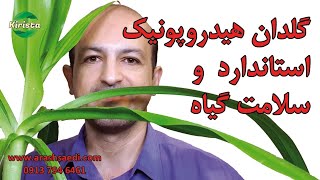 تاثیر گلدان تخصصی در سلامت گیاهان زینتی آپارتمانی