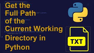 Get the Full Path of the Current Working Directory in Python | Python Examples | Python Tutorial