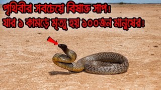 পৃথিবীর সবচেয়ে বিষাক্ত সাপ ইনল্যান্ড তাইপেন! Inland Taipan | ১০ Solutions