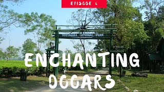 Gorumara Jungle Safari | Gorumara Jeep Safari Guide | Lataguri | Dooars Tour | Vlog