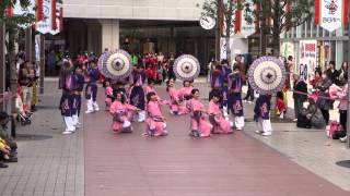 四日市よさこい祭りやったろ舞2014～春の風咲き乱れ