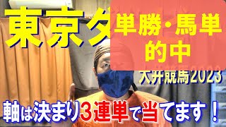 東京ダービー【大井競馬2023予想】突如現れた怪物に期待！？