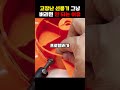 고장난 선풍기 그냥 버리면 안 되는 이유