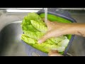 How to Wash Romaine Lettuce