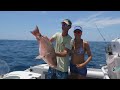 red snapper in florida