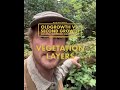 Oldgrowth vs Secondgrowth Forests: Vegetation Layers