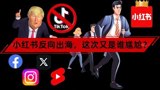 Tiktok被禁，大批美難民轉戰小紅書！小紅書反向出海打破信息壁壘！美國網友家底都抖出來了！美國制裁中國，中國卻贏了？#tiktokban #小紅書 #rednote #美國禁令 #窦文涛 #圆桌派