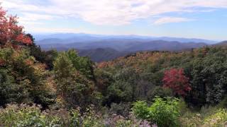 Blue Ridge Parkway 1: Fall 2013