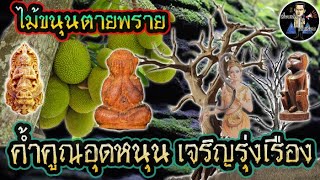 ไม้ขนุนตายพราย  | อาถรรพ์ หนุนดวง หนุนชีวิต..!!