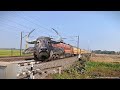 dangerous buffalo and horse headed trains furious crossing railgate