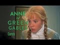 Carrots - Anne of Green Gables