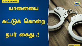 யானையை  சுட்டுக் கொன்ற நபர் கைது..! | elephant | arrested| | shot