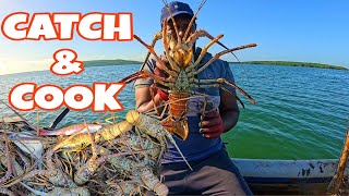 EPIC CATCH, ROAST \u0026 DIP FISH‼️ LOBSTER TRAP HAULING!!!