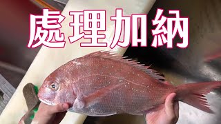 【海洋主廚愛爾文魚類處理】如何處理加納（真鯛）？｜How to deal with Red seabream?