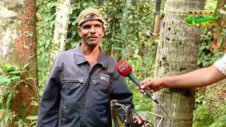 Meet ex Assistant sub-inspector became Coconut Climber