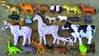 Zoo animals-Find Cow dog horse lion tiger deer sheep gorilla rhino dinosaurs.. Ideas 420M