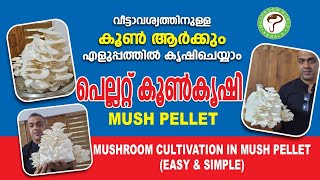 #mushroom pellet# പെല്ലറ്റ് കൂൺ കൃഷി # Mush pellet# Mushroom world# Mushroom cultivation #8089404211